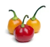 Pimenta bode (lb)