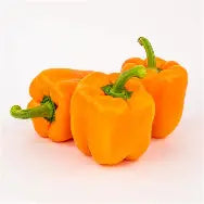 Pimentao Laranja lb