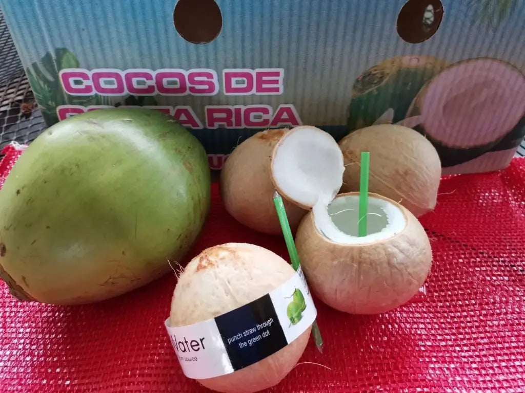 AGUA DE COCO NATURAL