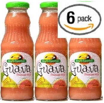 Brazil Gourmet Guava Premium Nectar 300ml
