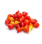 Pimenta Biquinho fresca (lb)