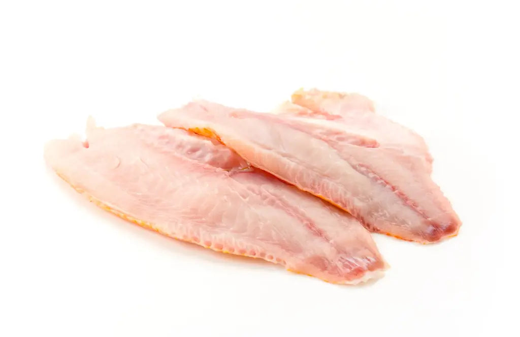 Tilapia
