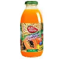 Pura Fruta mango 16oz