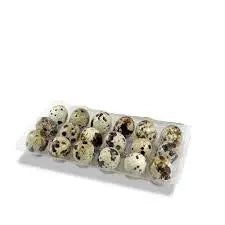 Ovo de codorna 18ct Biovida